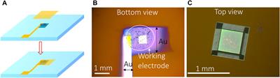 Advancing radioactive material research method: the development of a novel in situ particle-attached microfluidic electrochemical cell